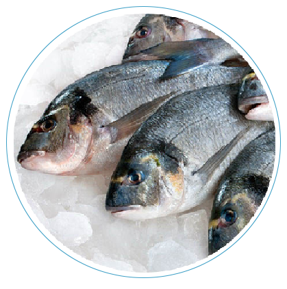 Заморожна риба