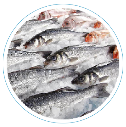 Заморожна риба